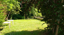 Le jardin