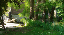 Le jardin 2
